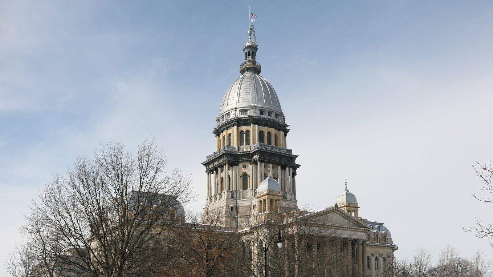 The domed Illinois State Capitol in Springfield on a winter day, with snow on the lawn and bare trees
